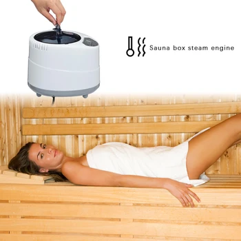 2.0 L Pirts Ģenerators Sauna, Spa Telts Ķermeņa Terapija Fumigācija Mašīna, Mājas Steamer Terapijas Piemērots Virtuves EU/US Plug
