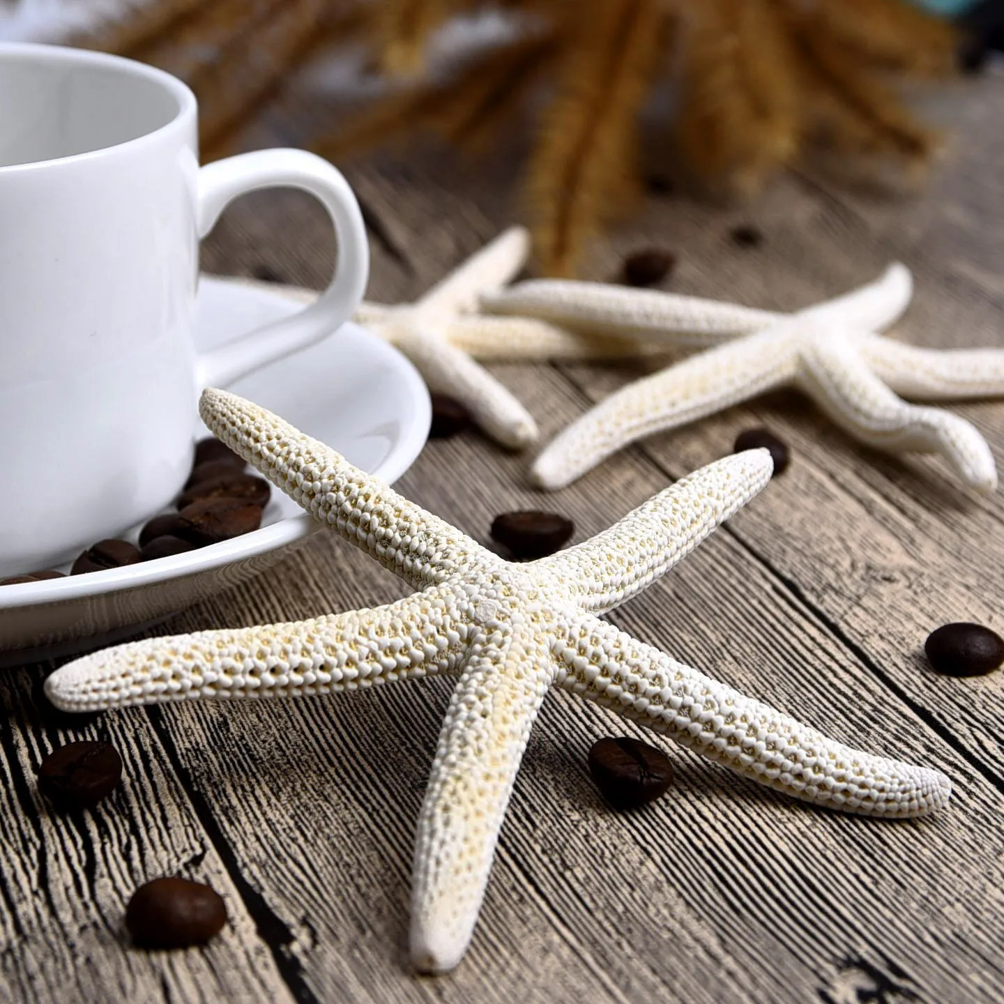 1 Gabals 10-12cm, Baltā Dabas Pirkstu Starfish Amatniecības Apdare Dabas Jūras Zvaigzne DIY Pludmales Māja Dekori